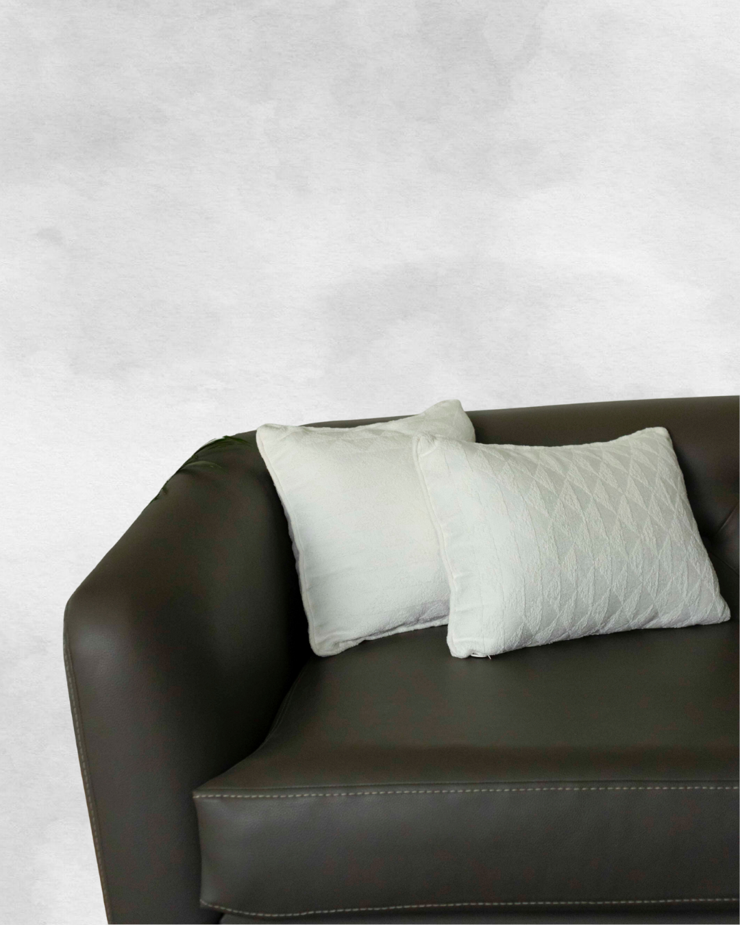 The Cushions Set - The Breeze