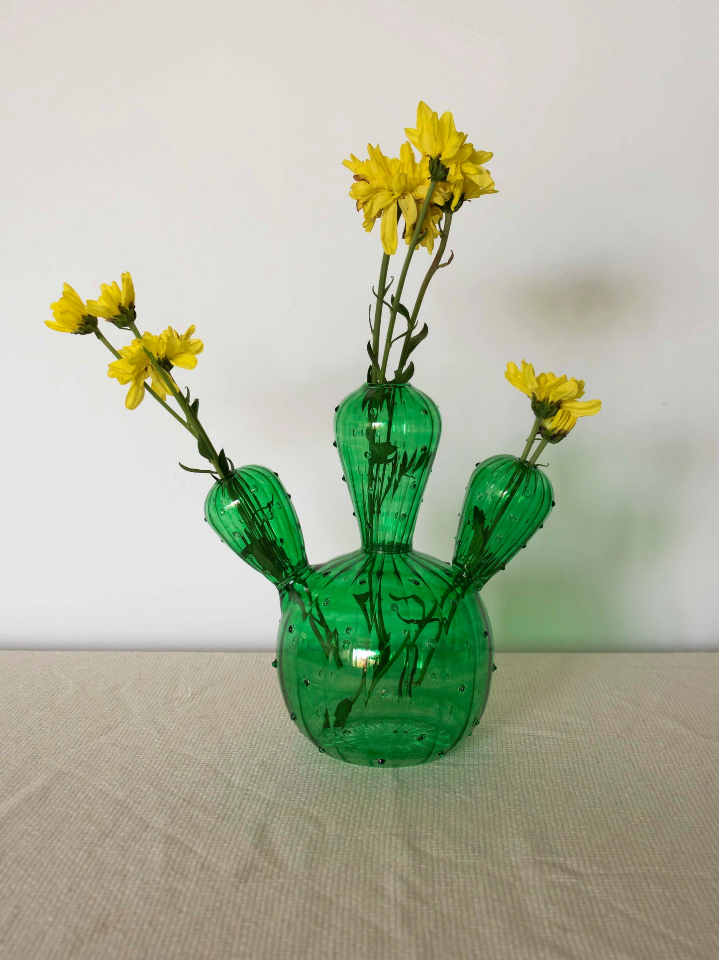 The Desert Cactus Vase